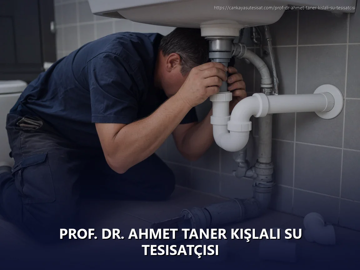 Prof. Dr. Ahmet Taner Kışlalı Su Tesisatçısı